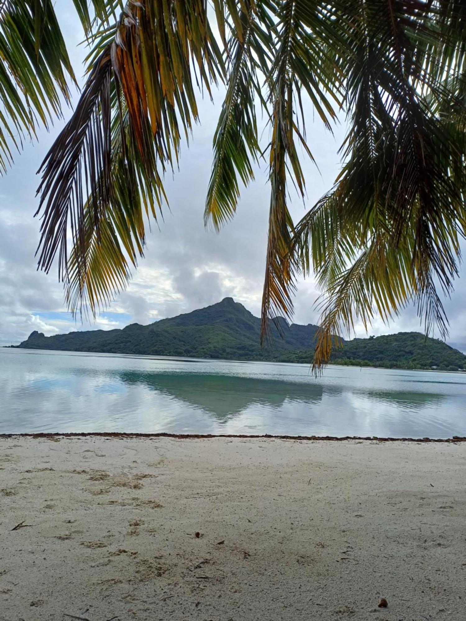Poemanahere Island Camping A Maupiti Te-Fare-Arii Eksteriør billede