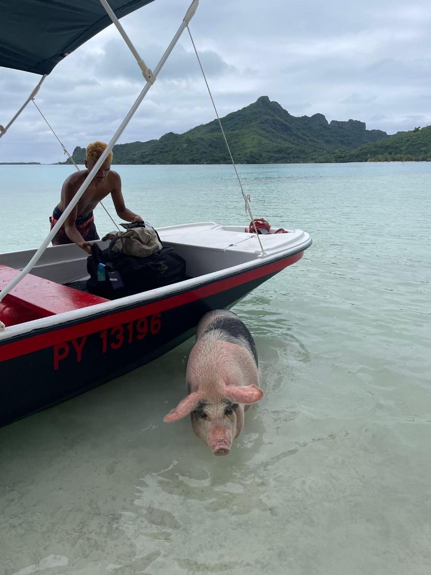Poemanahere Island Camping A Maupiti Te-Fare-Arii Eksteriør billede