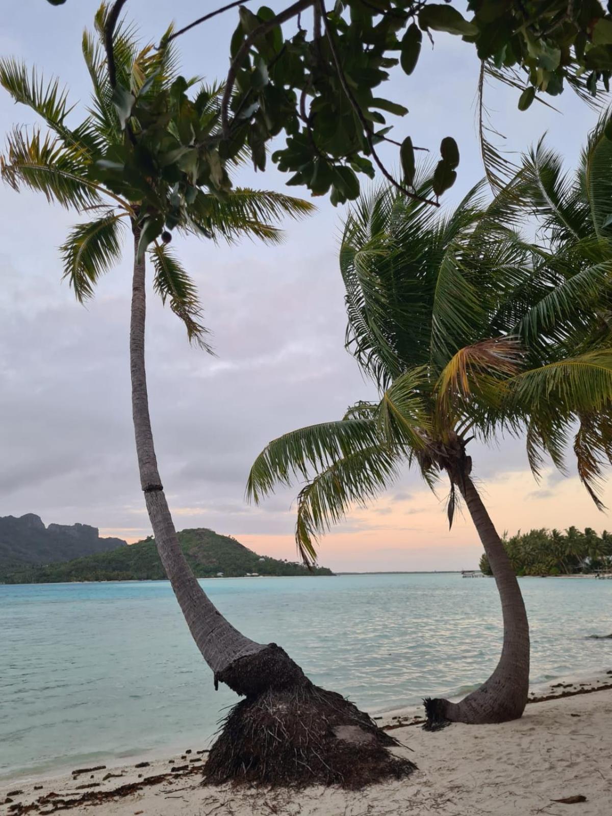 Poemanahere Island Camping A Maupiti Te-Fare-Arii Eksteriør billede