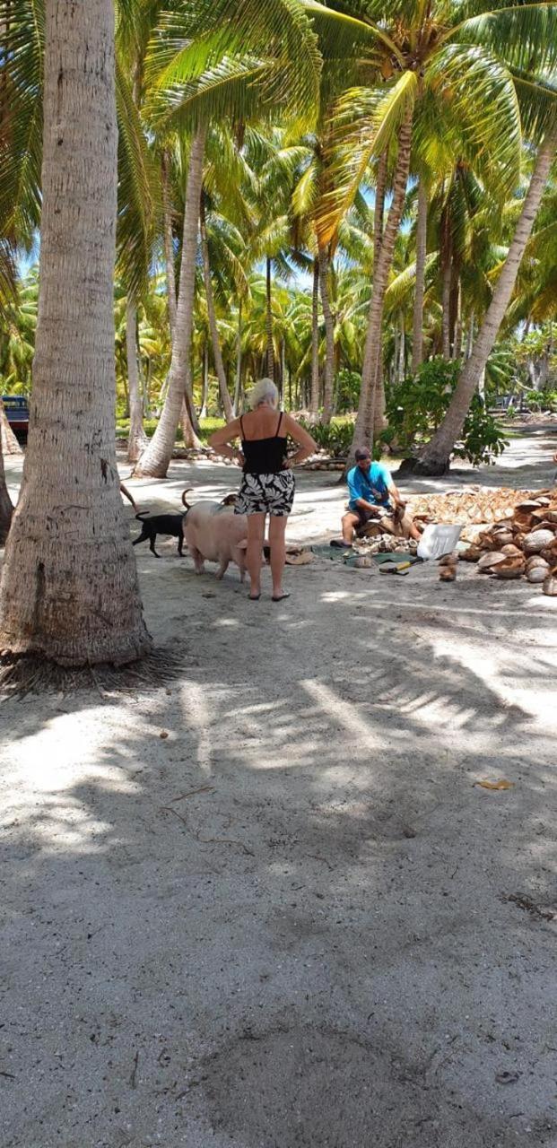 Poemanahere Island Camping A Maupiti Te-Fare-Arii Eksteriør billede